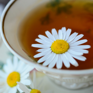 chamomile